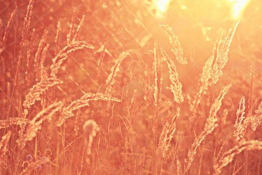 Similar image 10499518