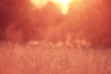 Similar image 10499519