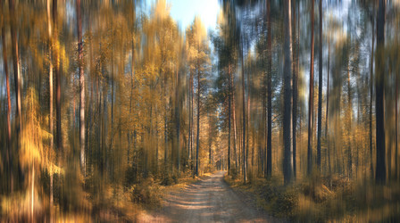 Similar image 10499523