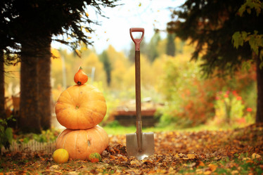 Similar image 10499529