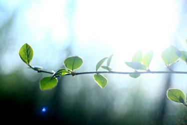 Similar image 10499533