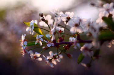 Similar image 10499540