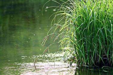 Similar image 10499542