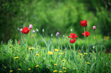 Similar image 10499544