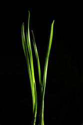 Similar image 10499545