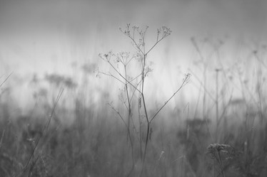 Similar image 10499546