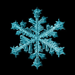 Similar image 10499548