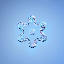 Similar image 10499550