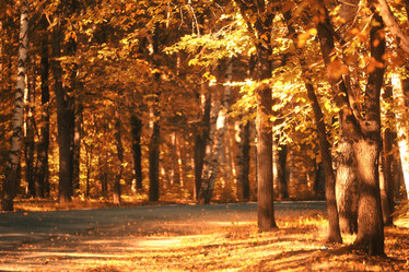 Similar image 10499551