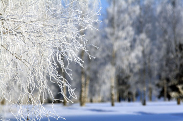 Similar image 10499554