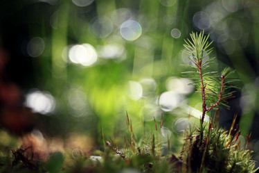 Similar image 10499555