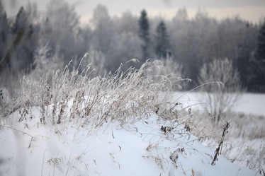 Similar image 10499556