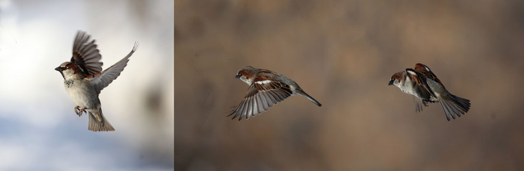 Similar image 10499564