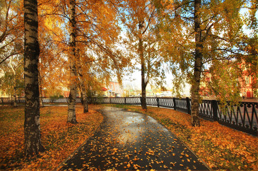 Similar image 10499569