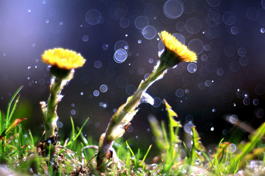 Similar image 10499570