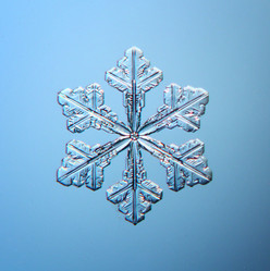 Similar image 10499572