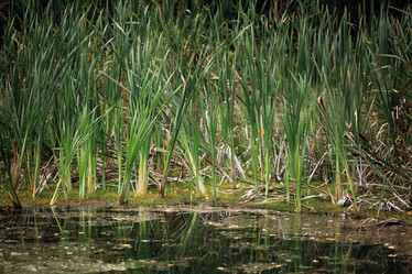 Similar image 10499576