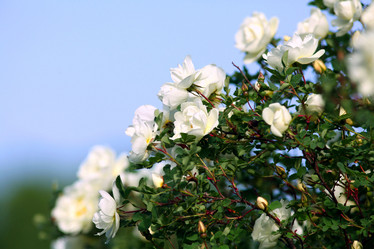 Similar image 10499579