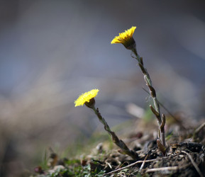 Similar image 10499580