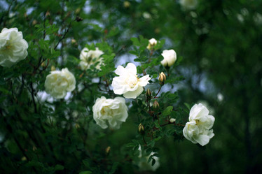 Similar image 10499582