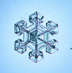 Similar image 10499583