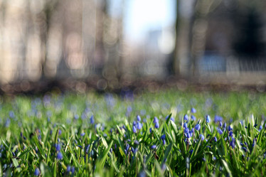 Similar image 10499584