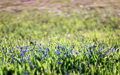 Similar image 10499585