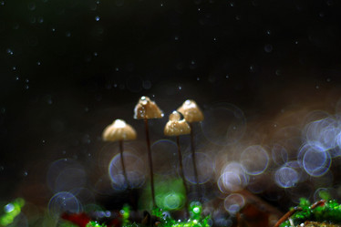 Similar image 10499586