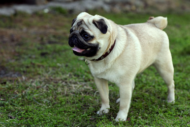 Similar image 10499590