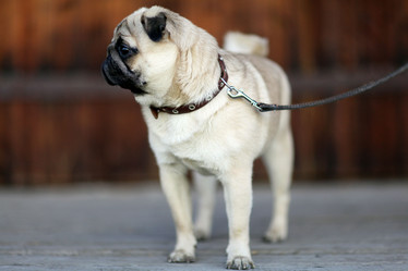 Similar image 10499593