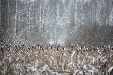 Similar image 10499602