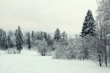 Similar image 10499608