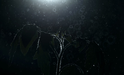 Similar image 10499609