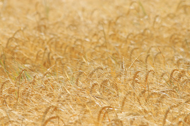 Similar image 10499627