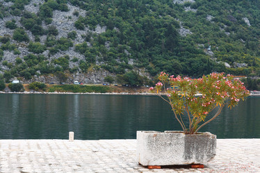 Similar image 10499628