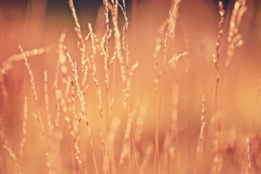 Similar image 10499629