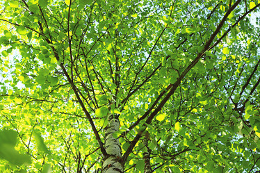 Similar image 10499637