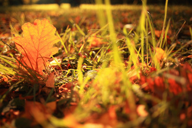 Similar image 10499639