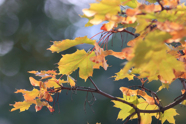 Similar image 10499641