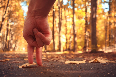 Similar image 10499642