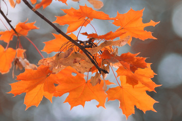 Similar image 10499643