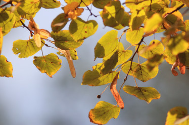 Similar image 10499645