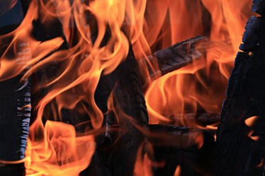 Similar image 10499646