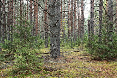 Similar image 10499648