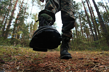 Similar image 10499650