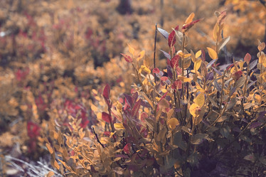 Similar image 10499652