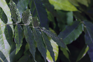 Similar image 10499653