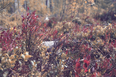 Similar image 10499654