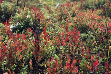 Similar image 10499656