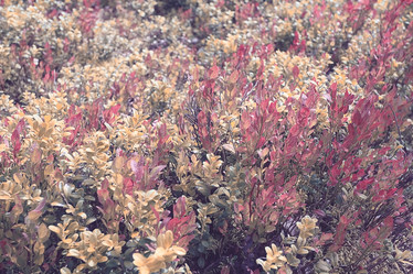 Similar image 10499658